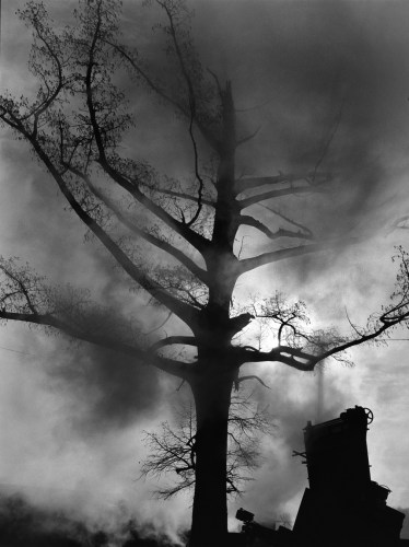 Debbie Fleming Caffery