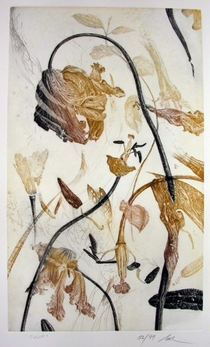 Nall Tulip Etching