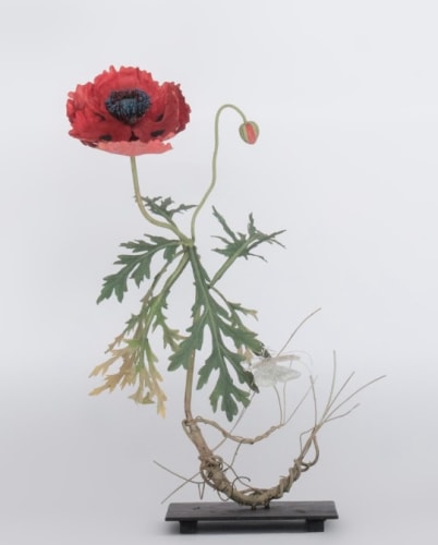 Carmen Almon, Red Poppy with Morpho Butterfly, 2025