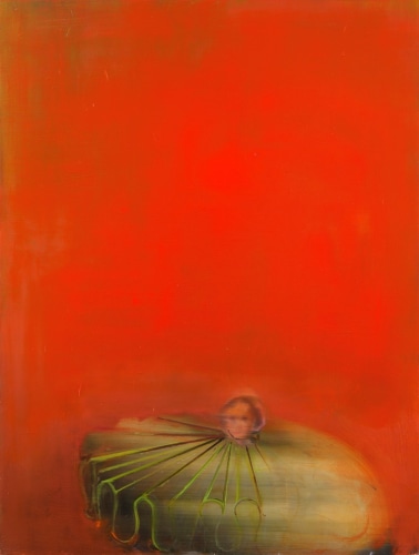 Barbara Friedman, Green Collar on Red, 2014