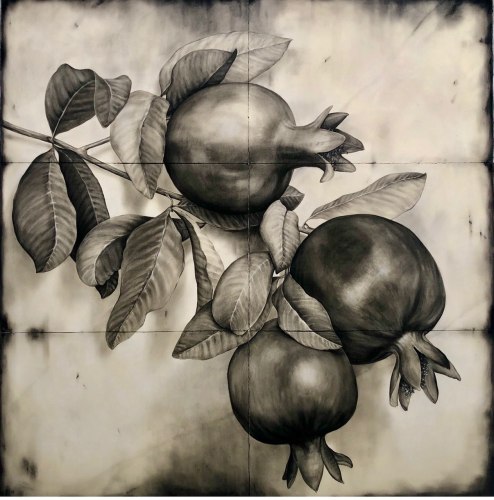 Emily Farish Pomegranates, 2020