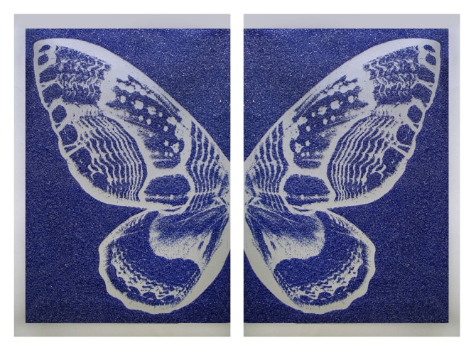 Rubem Robierb (1976), Hybrid Silver Butterfly I on Blue, 2016