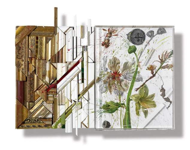 Nall Amandier Blossom, 2007