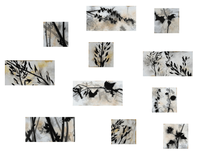 Suzi Davidoff U.S. Mexico Border, 2018