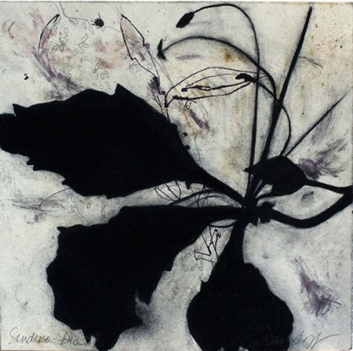 Suzi Davidoff, Sendero, Dia 8, 3/2015 (746), 2015