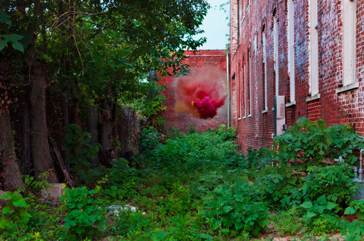 Irby Pace, Kudzu, 2016