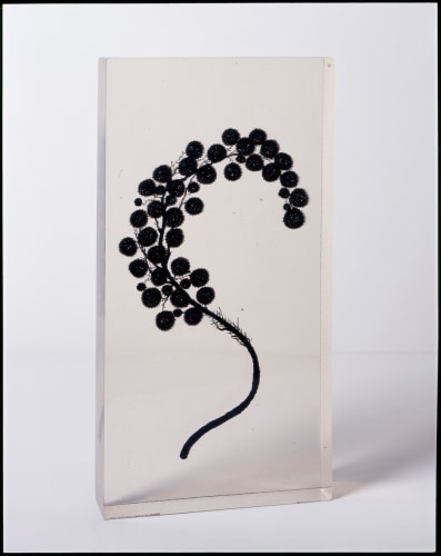 Dustin Yellin, Cridaria Luxus, 2005