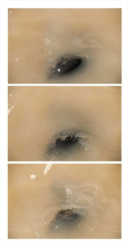 Michel Varisco, Becoming, 2014