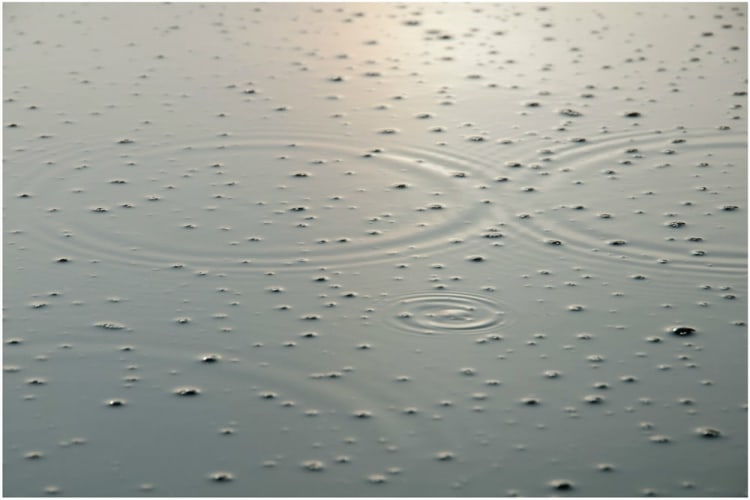 Michel Varisco, Canal de quarante arpent bouillant, 2014