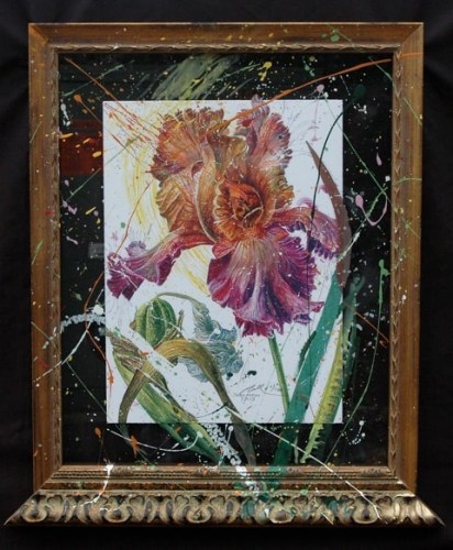 Nall, Vence Purple Iris, 2011