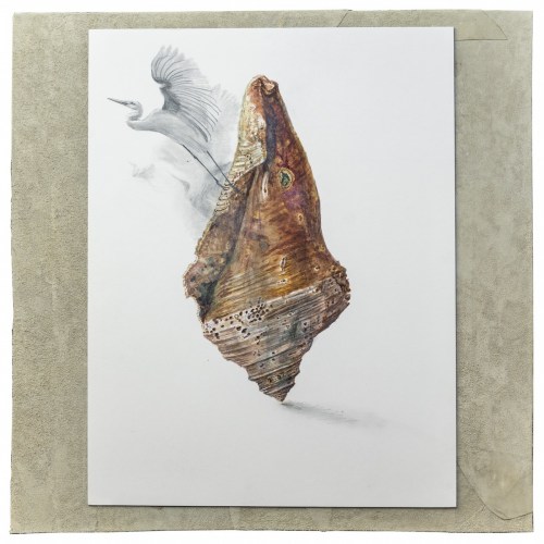 Nall Conche & Egret, 2015