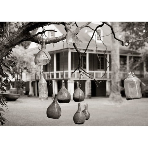 Joel Pickford Bottle Tree, St. John Parish, 2002, 2013