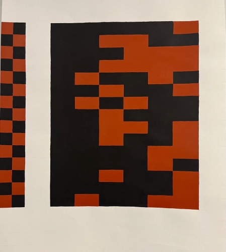 Ana Hernandez, Algorithmicbias, 2021