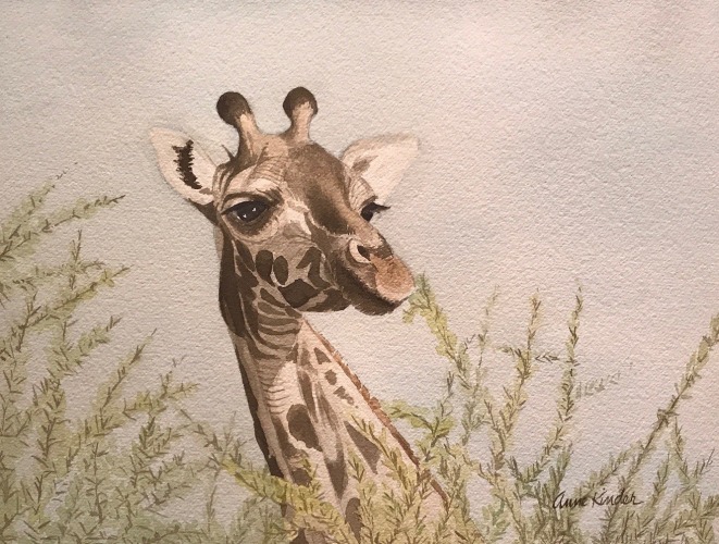 Anne Kinder, An Acacia Snack,&nbsp;2017