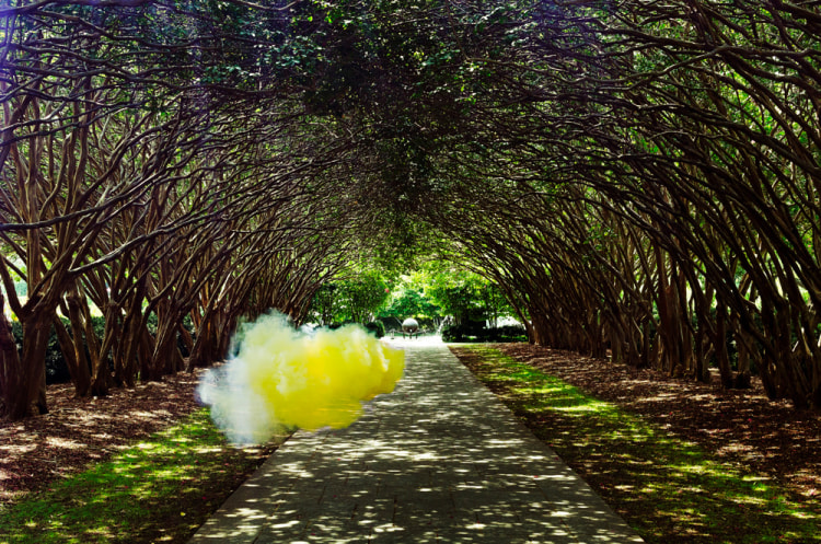 Irby Pace, Herbage, 2014