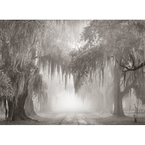 Joel Pickford Fog and Slave Quarters, Evergreen Plantation, 2002, 2013