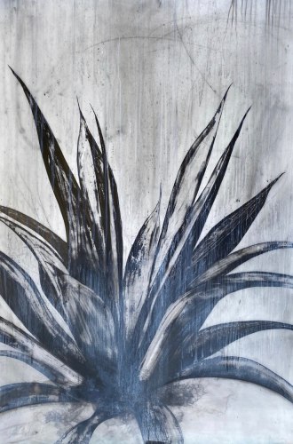 Heidi Jung Agave