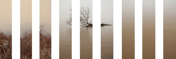 Michel Varisco, Rooted, 2014