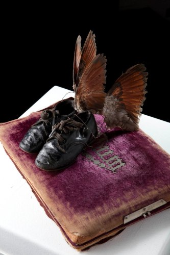 Cecilia Paredes, Andean Mercury, 2013