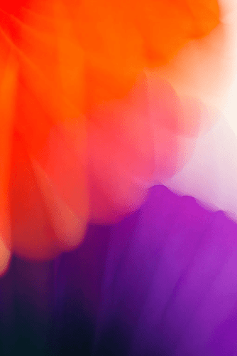 Shirine Gill Untitled, 2017