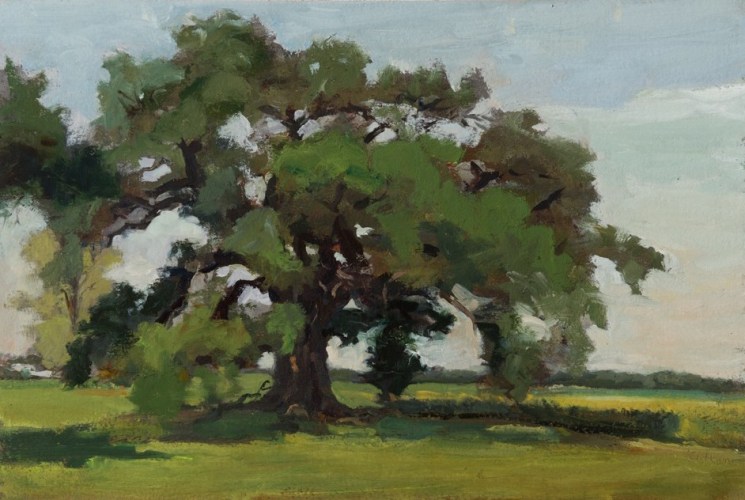 Kathryn Keller A Live Oak Growing, 2015