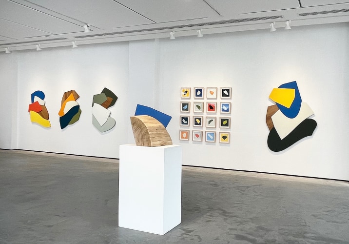 Installation view