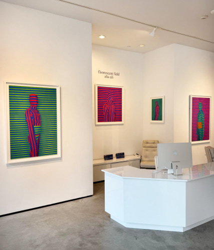 Installation view