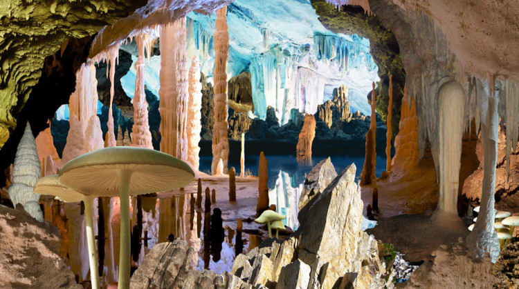 Dan Rule, Cave (from the Landscapes series), 2019