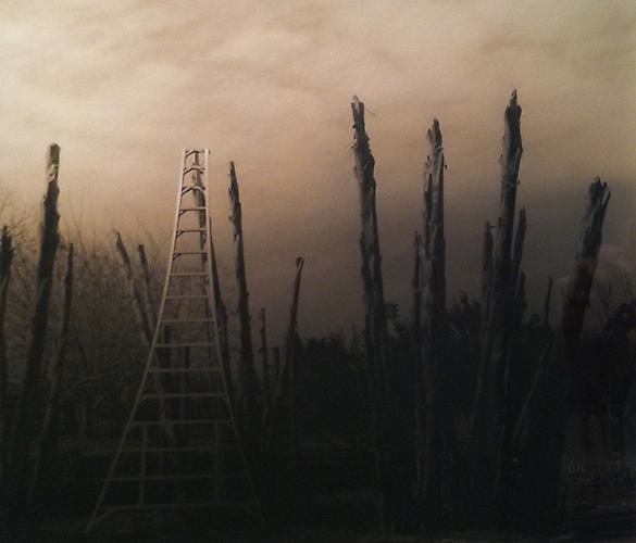 Contemporary Antiques