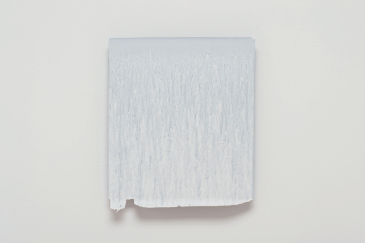 Joseph Cohen, Proposition 459, 2015