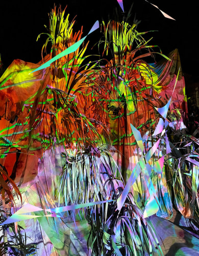 Jessica Bizer, Plant Disco 2, 2022