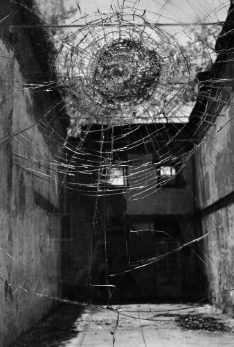 Debbie Fleming Caffery