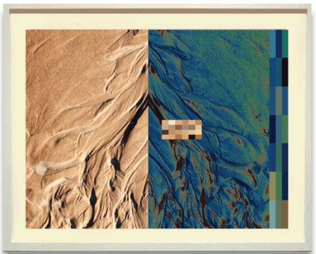 Rebecca Alston Coastal Ecology in Transition, 2014-19