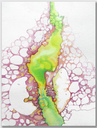 Rebecca Alston BF Algae 1 Green & Red, 2014