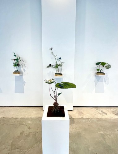 Installation view
