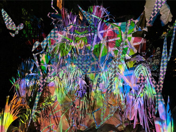 Jessica Bizer, Plant Disco, 2022