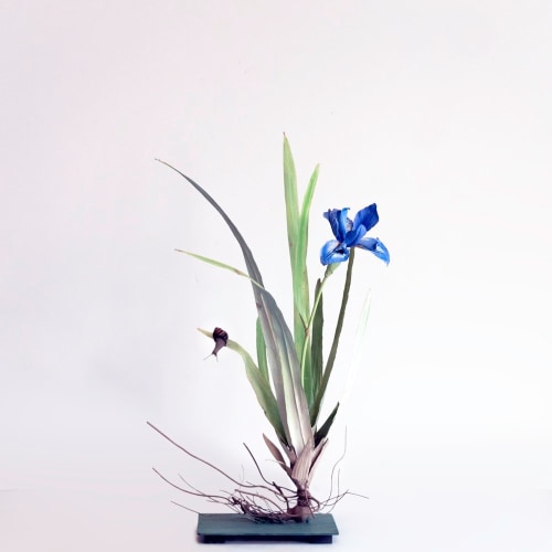 Carmen Almon, Iris with Brown Snail, 2019