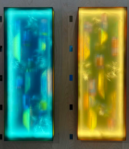 Carmen Menza Series 5: Submerged 45 and Submerged 44, 2022