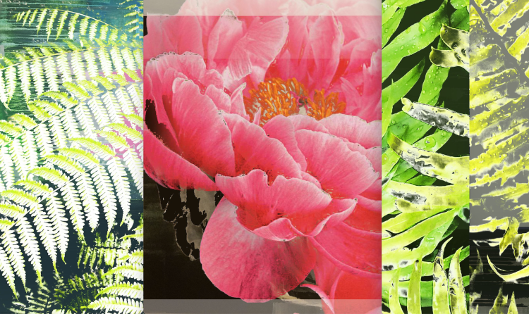 Composite from new works in the&nbsp;Botanical Candy Series,&nbsp;2019