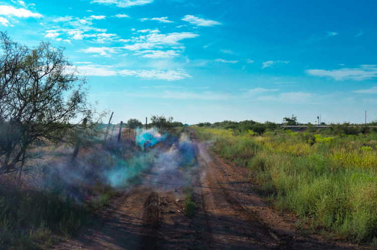 Irby Pace, The Wilds, 2015