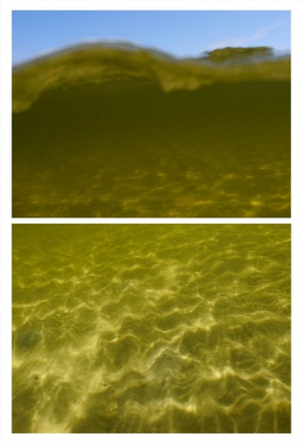 Michel Varisco, Golden Gulf Wave, 2014