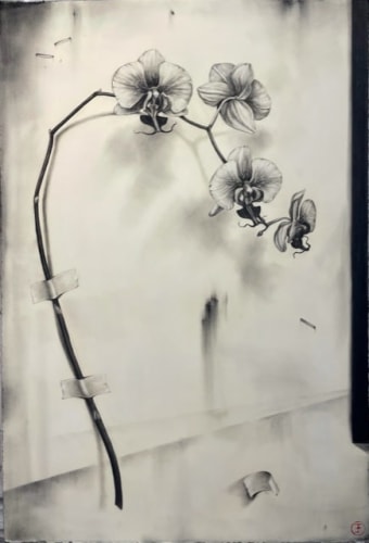 Emily Farish, Orchid, Four Blooms, 2021