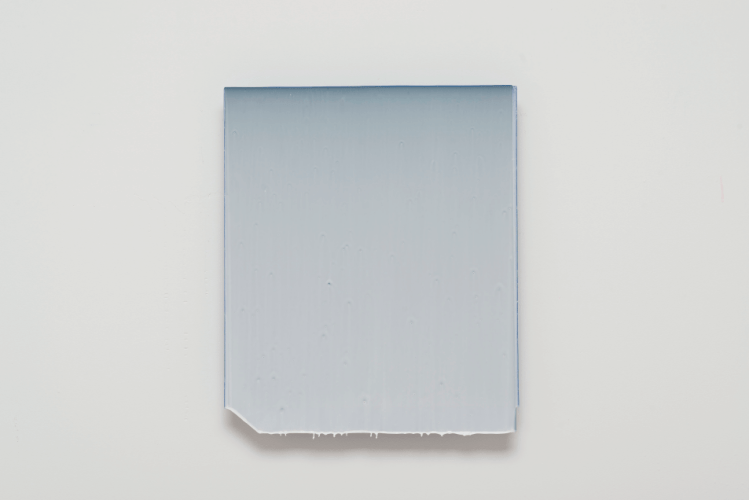 Joseph Cohen, Proposition 450, 2015