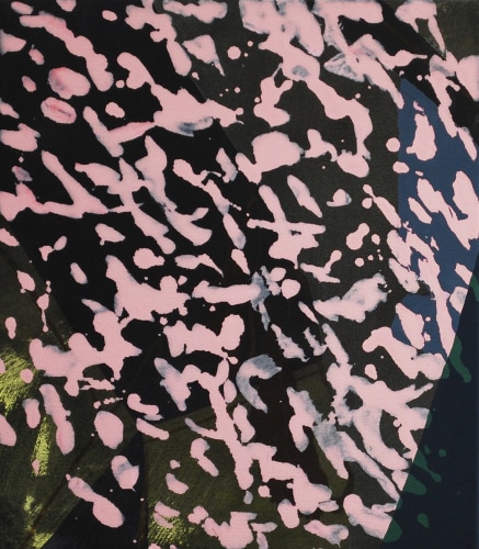 Aaron Collier, Curtain, 2017