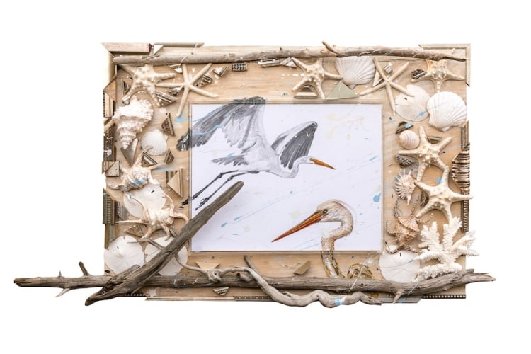 Nall White Egrets, 2015