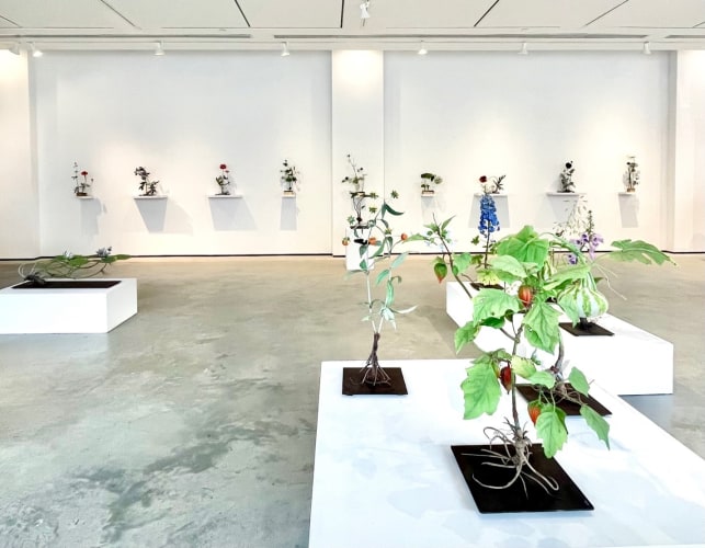 Installation view