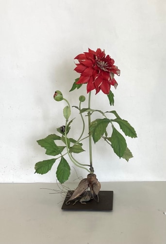 Carmen Almon, Dahlia with Black and White Snail, 2024