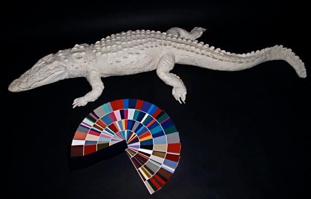 Elizabeth Shannon Naked (Homage to the Comeback of the American Crocodile), 1996-2013