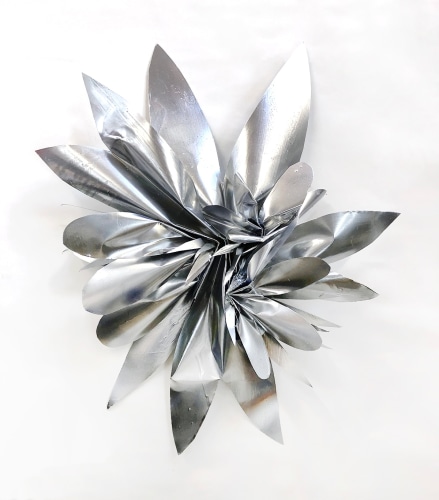 Mia Kaplan Cannas, 2017 - 2020