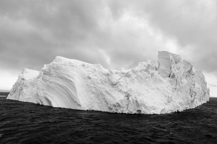 Tina Freeman, 20111205 Andvord Bay 266, 2011